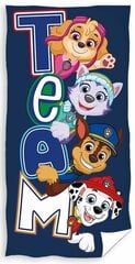 Пляжное полотенце 70 x 140 см, Paw Patrol цена и информация | Полотенца | pigu.lt