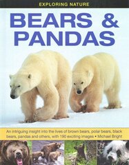 Exploring Nature: Bears & Pandas: An Intriguing Insight into the Lives of Brown Bears, Polar Bears, Black Bears, Pandas and Others, with 190 Exciting Images kaina ir informacija | Knygos paaugliams ir jaunimui | pigu.lt