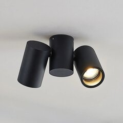 Потолочный светильник Sina, две лампочки, черный цвет цена и информация | Потолочные светильники | pigu.lt