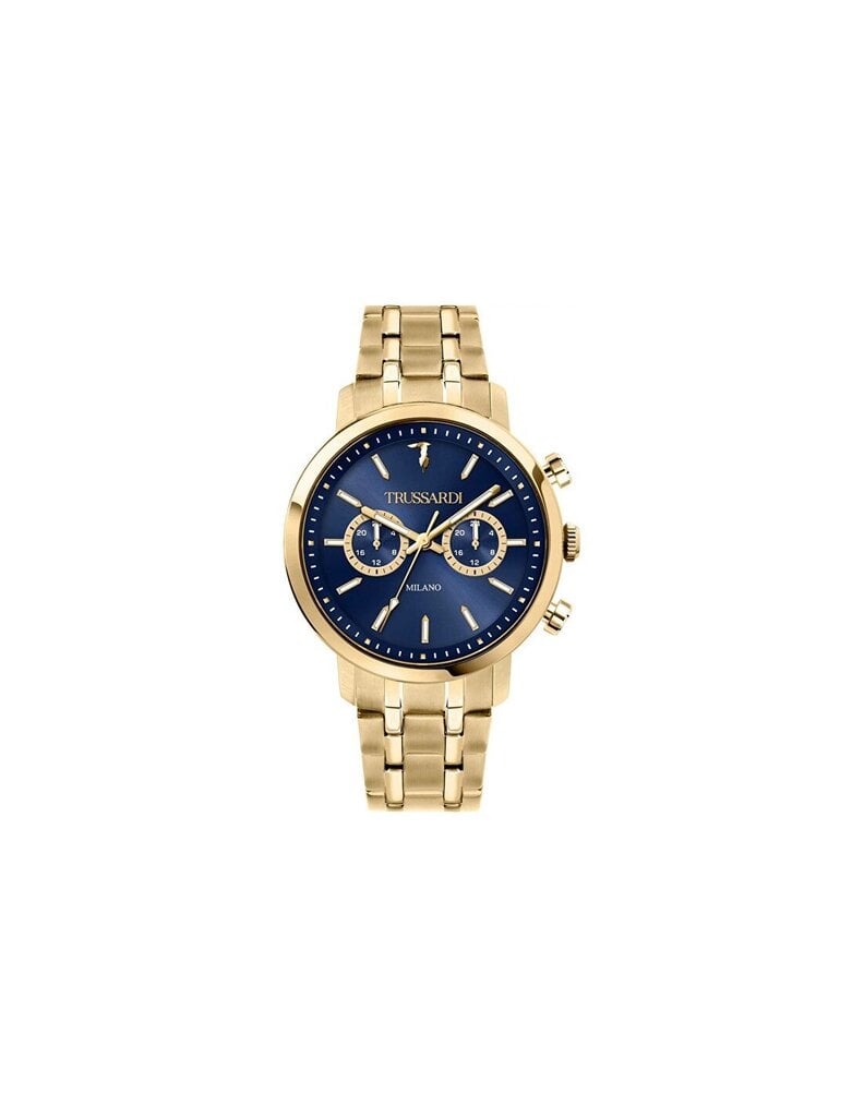 Vyriškas laikrodis Trussardi R2453147002 kaina ir informacija | Vyriški laikrodžiai | pigu.lt