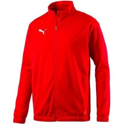 Džemperis Puma Sideline Jr 655947 01, raudonas цена и информация | Megztiniai, bluzonai, švarkai berniukams | pigu.lt