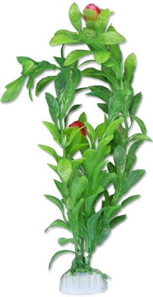 Augalų lizdinė plokštelė 20cm 2b51 Happet kaina ir informacija | Akvariumo augalai, dekoracijos | pigu.lt