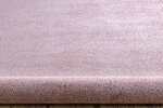 Rugsx ковровая дорожка Santa Fe, 80x330см