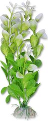 Augalų lizdinė plokštelė 20cm 2b52 Happet цена и информация | Аквариумные растения и декорации | pigu.lt