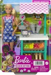 Barbie FYK 52 цена и информация | Игрушки для девочек | pigu.lt