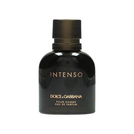 Kvapusis vanduo Dolce & Gabbana Intenso Pour Homme EDP vyrams 40 ml kaina ir informacija | Kvepalai vyrams | pigu.lt