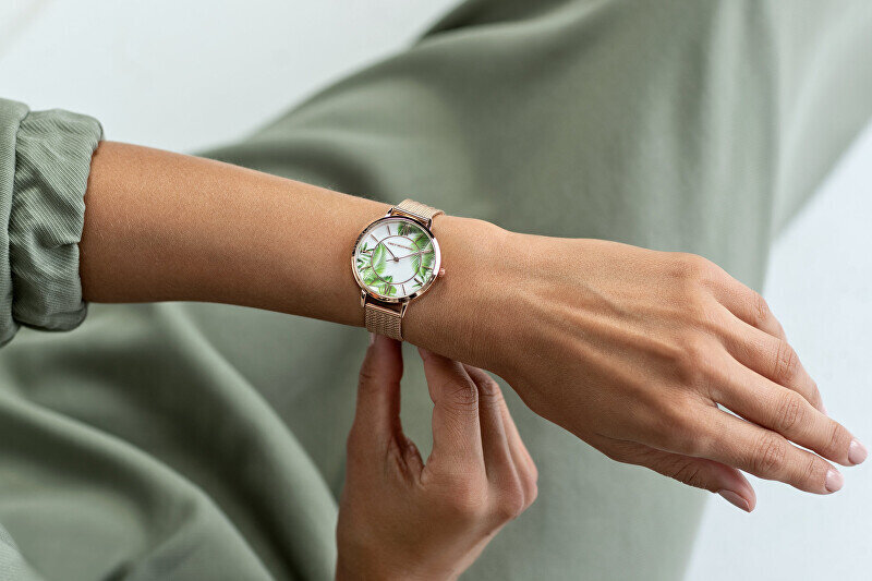 Moteriškas laikrodis Emily Westwood EEH-4114 kaina ir informacija | Moteriški laikrodžiai | pigu.lt
