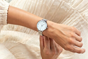 Moteriškas laikrodis Emily Westwood EEE-2514 цена и информация | Женские часы | pigu.lt