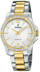 Vyriškas laikrodis Festina 20594/1 kaina ir informacija | Vyriški laikrodžiai | pigu.lt