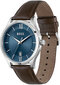 Vyriškas laikrodis Hugo Boss 1513955 kaina ir informacija | Vyriški laikrodžiai | pigu.lt
