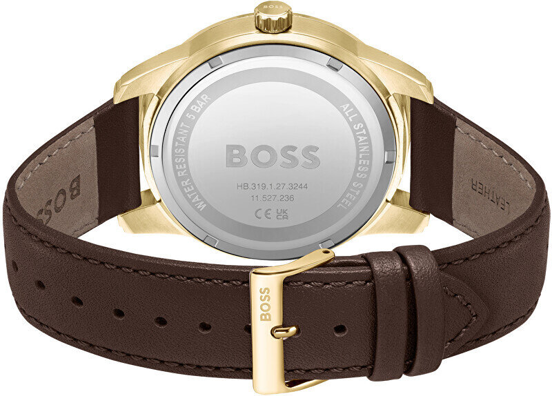 Vyriškas laikrodis Hugo Boss 1513956 цена и информация | Vyriški laikrodžiai | pigu.lt