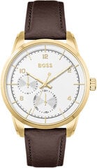 Мужские часы Hugo Boss 1513956 цена и информация | Мужские часы | pigu.lt