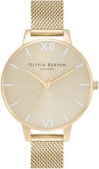 Olivia Burton Англия OB16EN13 цена и информация | Женские часы | pigu.lt