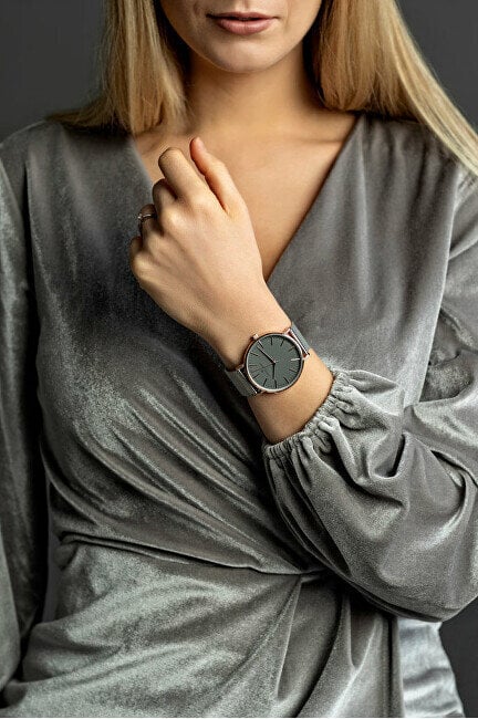 Moteriškas laikrodis Frederic Graff Eiger FFAA-2520S kaina ir informacija | Moteriški laikrodžiai | pigu.lt