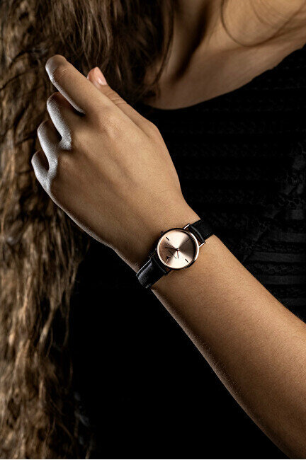Moteriškas laikrodis Emily Westwood Elina EFH-B029R цена и информация | Moteriški laikrodžiai | pigu.lt
