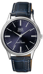 Vyriškas laikrodis Q&Q C214J332 kaina ir informacija | Vyriški laikrodžiai | pigu.lt