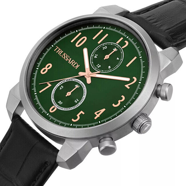 Vyriškas laikrodis Trussardi R2451154001 цена и информация | Vyriški laikrodžiai | pigu.lt