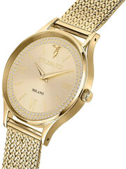 Moteriškas laikrodis Trussardi R2453152506 kaina ir informacija | Moteriški laikrodžiai | pigu.lt