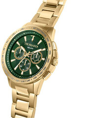 Vyriškas laikrodis Trussardi R2453153001 kaina ir informacija | Vyriški laikrodžiai | pigu.lt