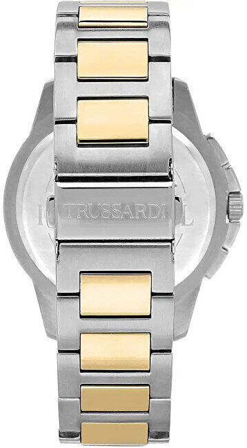 Vyriškas laikrodis Trussardi R2453153003 kaina ir informacija | Vyriški laikrodžiai | pigu.lt