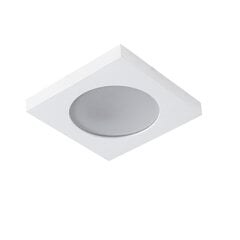 Герметичный светильник FLINI IP44 DSL W белый цена и информация | Потолочные светильники | pigu.lt