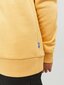 Džemperis berniukams Jack & Jones 12212287*03, geltonas kaina ir informacija | Megztiniai, bluzonai, švarkai berniukams | pigu.lt