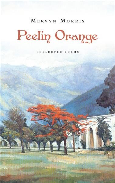Peelin Orange kaina ir informacija | Poezija | pigu.lt