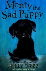 Monty the Sad Puppy цена и информация | Книги для подростков и молодежи | pigu.lt