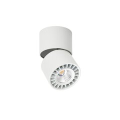 Потолочный светильник Herios  CLN-97018-12Вт-L-3K цена и информация | Потолочные светильники | pigu.lt