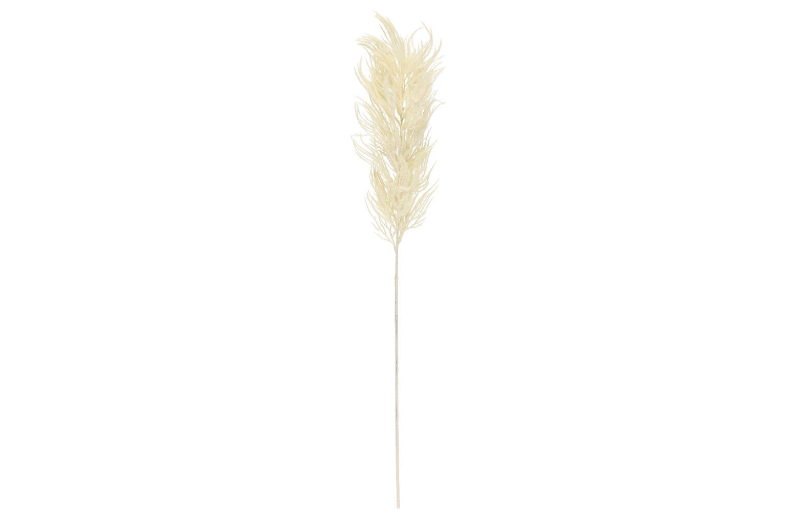 Pampas žolė, balta 82 cm kaina ir informacija | Dirbtinės gėlės | pigu.lt