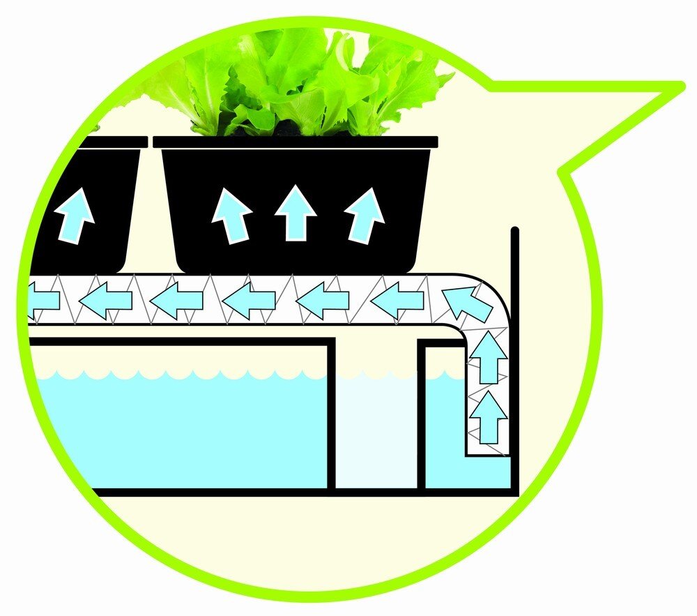 Garland Grow Light Garden kaina ir informacija | Daigyklos, lempos augalams | pigu.lt