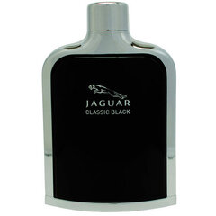 Туалетная вода для мужчин Jaguar Classic Black EDT, 40 мл цена и информация | Мужские духи | pigu.lt