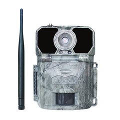 Automatinė Kamera KeepGuard KG892 4G - kaina ir informacija | Medžioklės reikmenys | pigu.lt