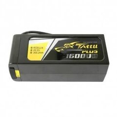Tattu Plus baterija Gens Ace 16000mAh 22.2V 15C 6S1P LiPo AS150+XT150 kaina ir informacija | Akumuliatoriai | pigu.lt