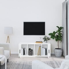 Televizoriaus spintelė, Apdirbta mediena, 100x35x40cm, balta kaina ir informacija | TV staliukai | pigu.lt