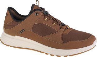 Мужские кроссовки Ecco, коричневые цена и информация | Кроссовки для мужчин | pigu.lt