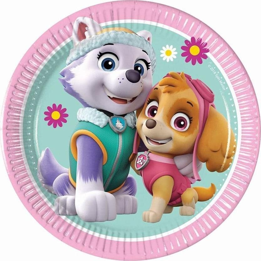 Vienkartinės popierinės lėkštės Paw Patrol Skye & Everest 19,5 cm, 8 vnt kaina ir informacija | Vienkartiniai indai šventėms | pigu.lt