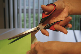 Универсальные ножницы Bessey D821-160 цена и информация | Механические инструменты | pigu.lt