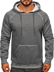 Мужской джемпер J.Style Fleece Grey 8B152-5 8B152-5/2XL цена и информация | Мужские толстовки | pigu.lt