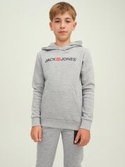 Детская кофта Jack & Jones 12212186*01, светло-серая, 5715307883762 цена и информация | Свитеры, жилетки, пиджаки для мальчиков | pigu.lt