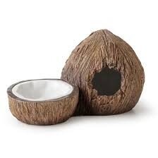 Terariumo puošmena EXO-terra kokosų slėptuvės ir vandens indas PT3159 kaina ir informacija | Prekės egzotiniams gyvūnams | pigu.lt