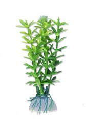 Augalų lizdinė plokštelė 10cm 1b08 Happet kaina ir informacija | Akvariumo augalai, dekoracijos | pigu.lt