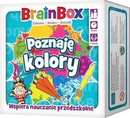 Stalo žaidimas BrainBox Mokausi spalvų Rebel kaina ir informacija | Stalo žaidimai, galvosūkiai | pigu.lt