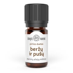 Beržų ir pušų pirties duetas Kvapų namai, 5 ml цена и информация | Эфирные, косметические масла, гидролаты | pigu.lt