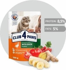 Club 4 Paws Premium su antiena padaže, 100 g kaina ir informacija | Konservai katėms | pigu.lt