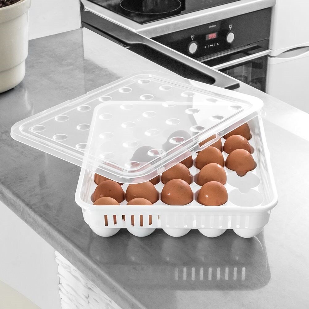 Dėžutė kiaušiniams su dangteliu, skaidri kaina ir informacija | Maisto saugojimo  indai | pigu.lt