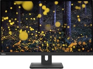 Lenovo ThinkVision E27q-20 цена и информация | Мониторы | pigu.lt