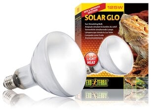 Terariumo lempa Solar Glo 125w PT2192 kaina ir informacija | Prekės egzotiniams gyvūnams  | pigu.lt