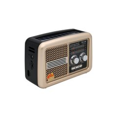 Golon RX-BT978S цена и информация | Радиоприемники и будильники | pigu.lt