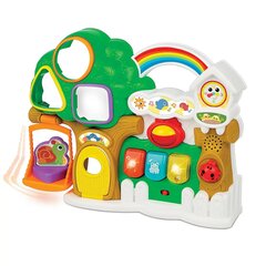 Сортер «Говорящий дом» цена и информация | Игрушки для малышей | pigu.lt